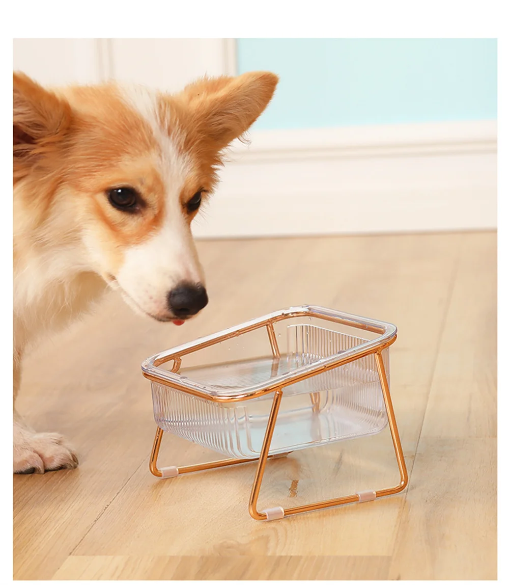 Title 7, Non-Slip Dog Bowl With Stand for Cat Food Water...