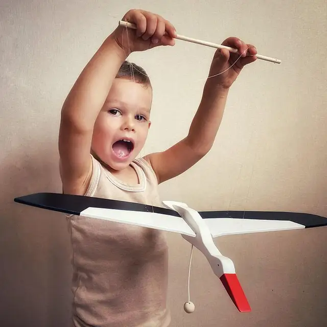 Wooden Hanging Flying Flapping Seagull Parrot Eagle Nursery Baby Mobile Toy Gift for Bedroom Outdoor Balcony Bed D1L8 2