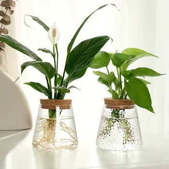 Glass Flowerpot Breeding Station Vase 1