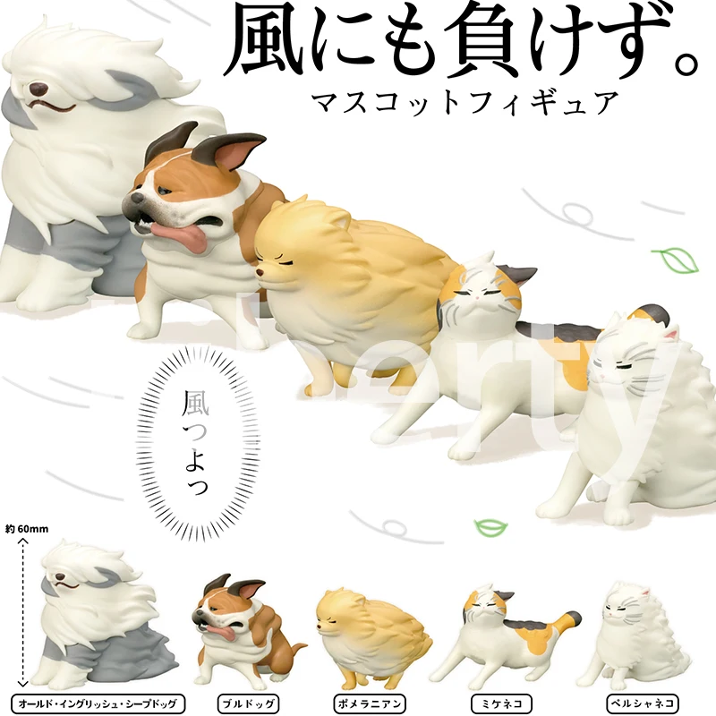 Windward Animals Gashapon Toys Sheepdog Pomeranian Persiano Cat Calico Cat Bulldog Creature Cute Model Ornament Toys