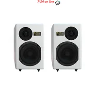 SMSL Tabebuia 10th Anniversary HIFI Speaker Wind Suzuki Speaker Specially Designed Wavecor Bass Unit Speaker 1