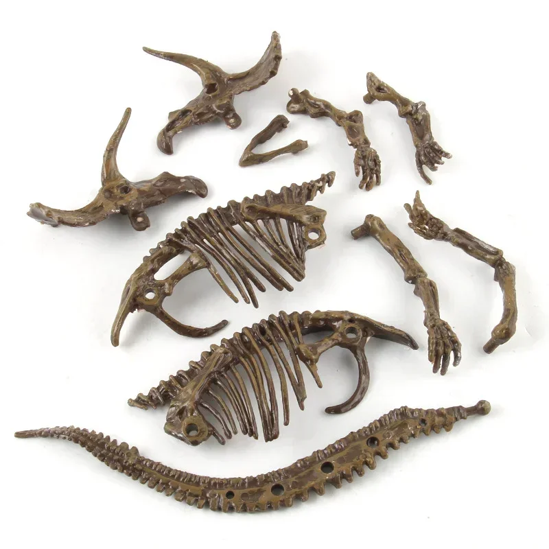 Dinosaur Fossil Excavation Kits Education Archeology Exquisite Jurassic Toy Set Game Action Children Figure Skeleton Model Gift 4