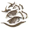 Dinosaur Fossil Excavation Kits Education Archeology Exquisite Jurassic Toy Set Game Action Children Figure Skeleton Model Gift 4