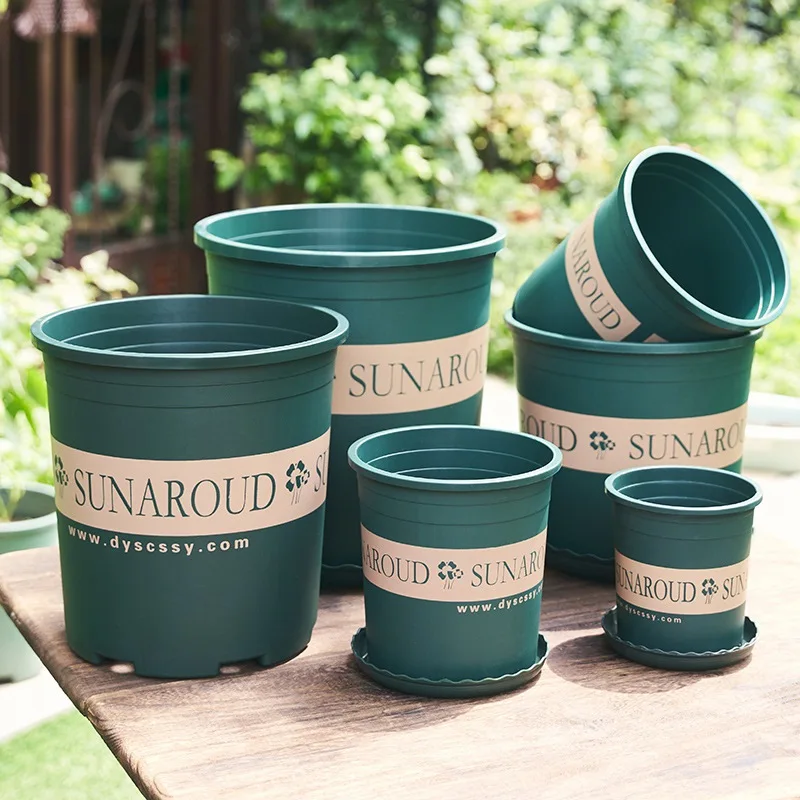 Decorative Artificial Succulent Collection in Stylish Plastic Flower Pots