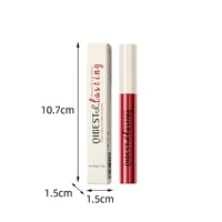 Matte Liquid Lipstick Waterproof Long Lasting Velvet Lip Gloss Tint Tube Matte Nude Pigment Red Lipgloss Lips Makeup 6