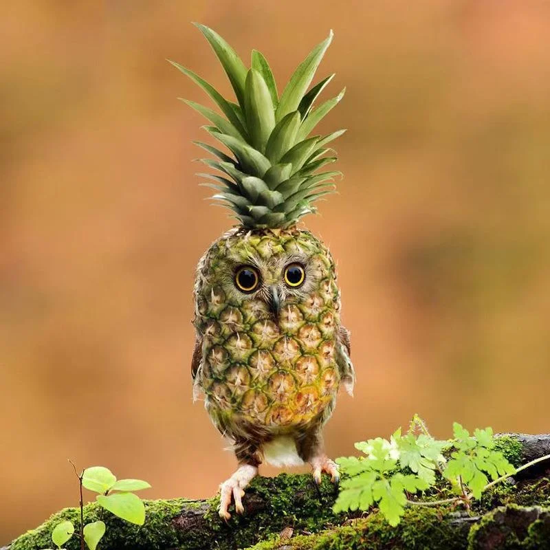 

New Pineapple Owl Resin Artwork Decoration Animal Statue Courtyard Home Decoration Desktop Decoration