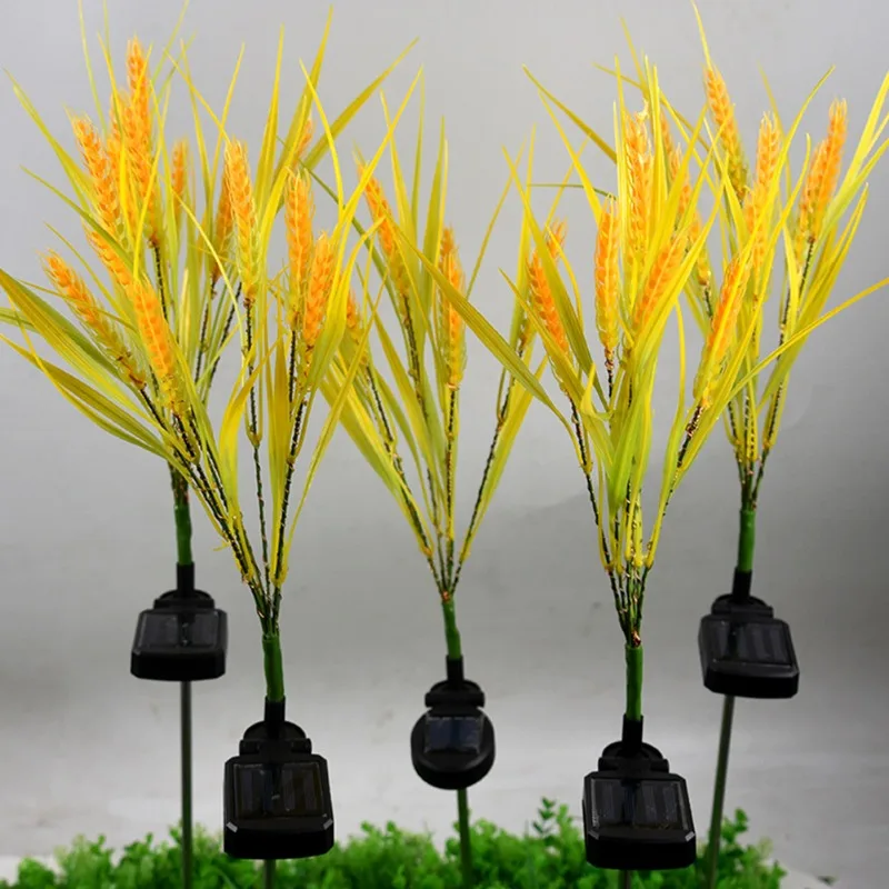 Рисунок 5 - Зернистая лужайка