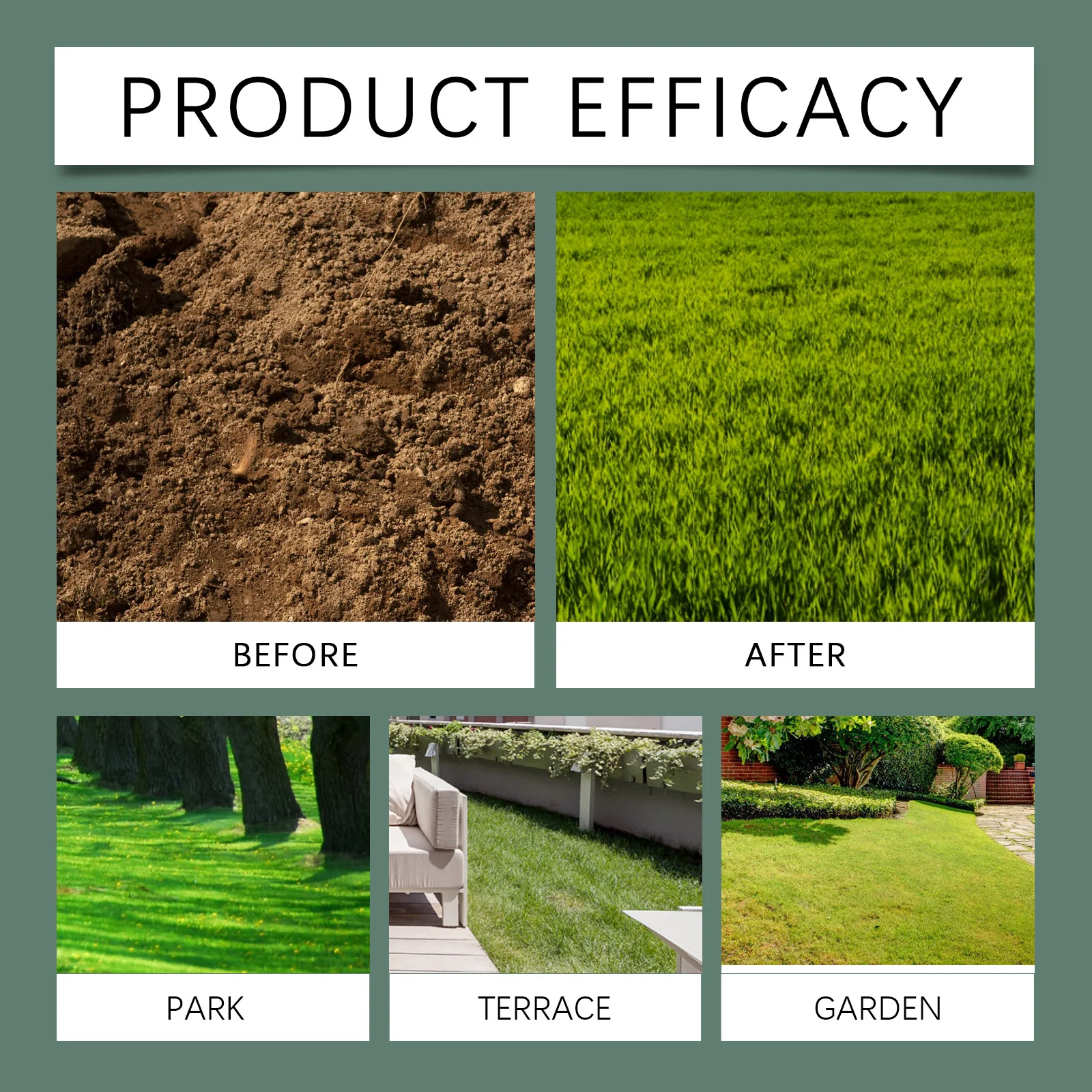 Grass Seed Mat Biodegradable Lawn Growth Garden Grass Ecological Carpet Horticultural Artifical Blanket Non-Woven Ecological Mat