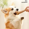 Bite Resistant Pet Dog Chew Toys Molar Teeth Clean Stick Interesting Pine Wood Cute Bone Shape Durable Pet Accessories 2