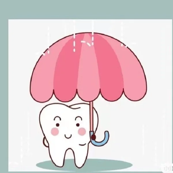 Dentalau Store