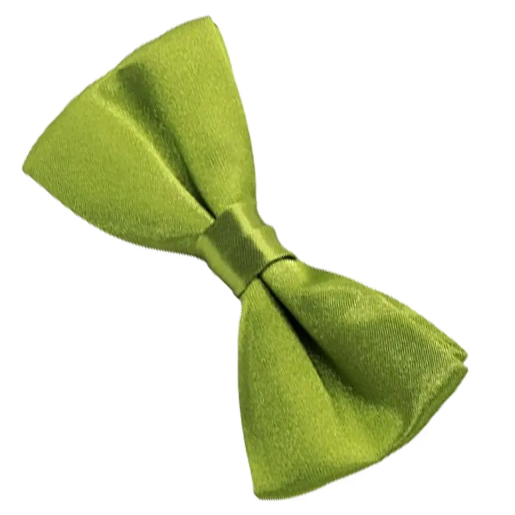 Green Classic Bow Tie Style For Boys Easy To Wear Easy To Love Versatile Style Kids Pre-Tied Bow Tie