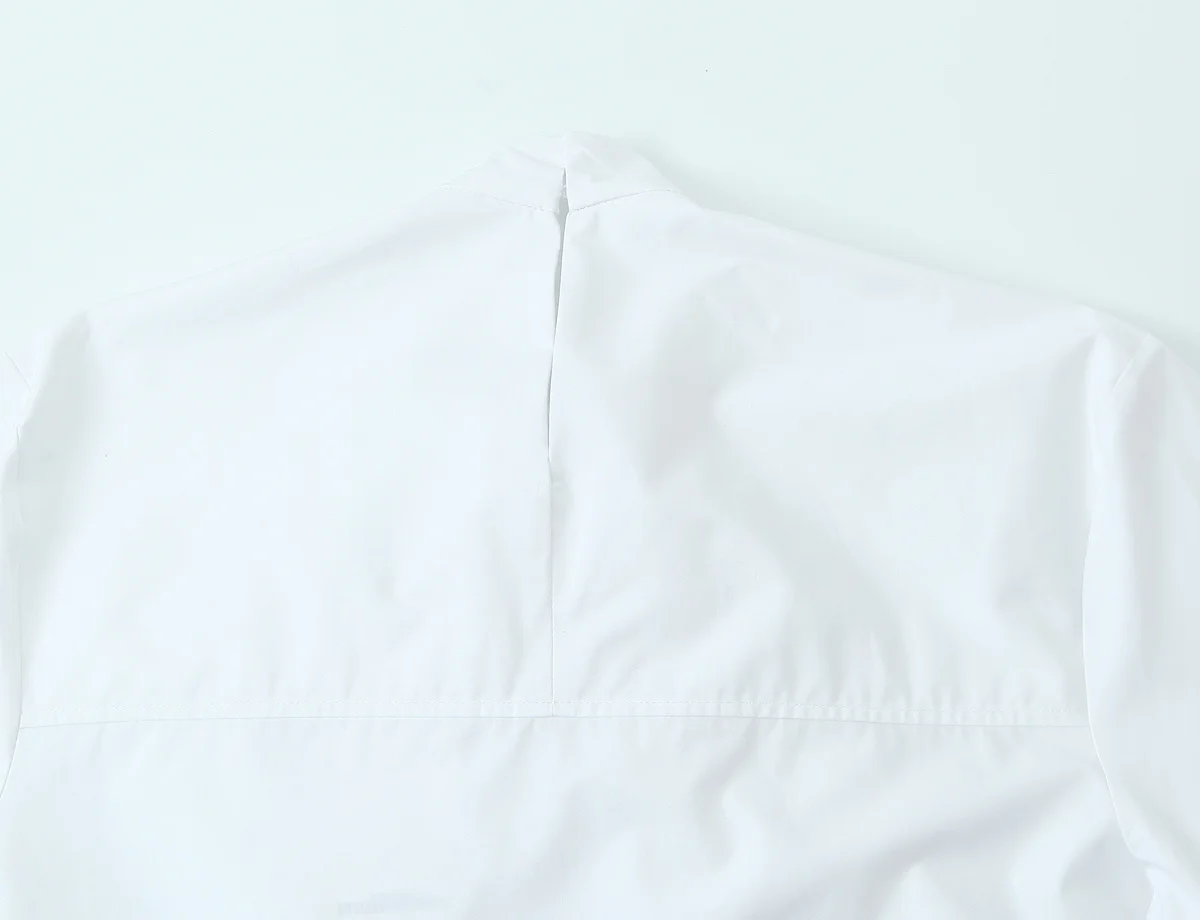 NLZGSMJ Damen Neue Freizeitbluse 2026 Frühling Herbst Schalkragen Lockeres Hemd Damen-Oberteil Y2K – Detail 7