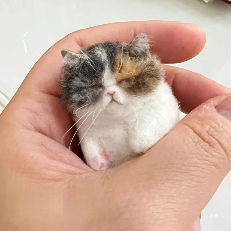 Wool Felt DIY Poke Material Package DIY Wool Felt Needle Simulation Cat Poke Material Package Hand-brain Coordination Training