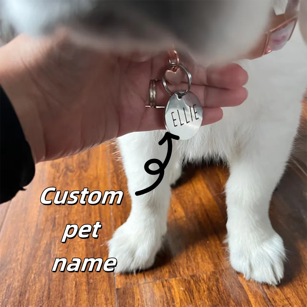 Engraved Pet Id Tag 5