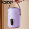 110V Electric Kettle Health Tea Water Boiler Stew Hot Pot Soup Porridge Slow Cooker Rice Cooking Heating Lunch Box Food Warmer 6