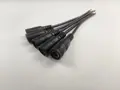 5 Female  black