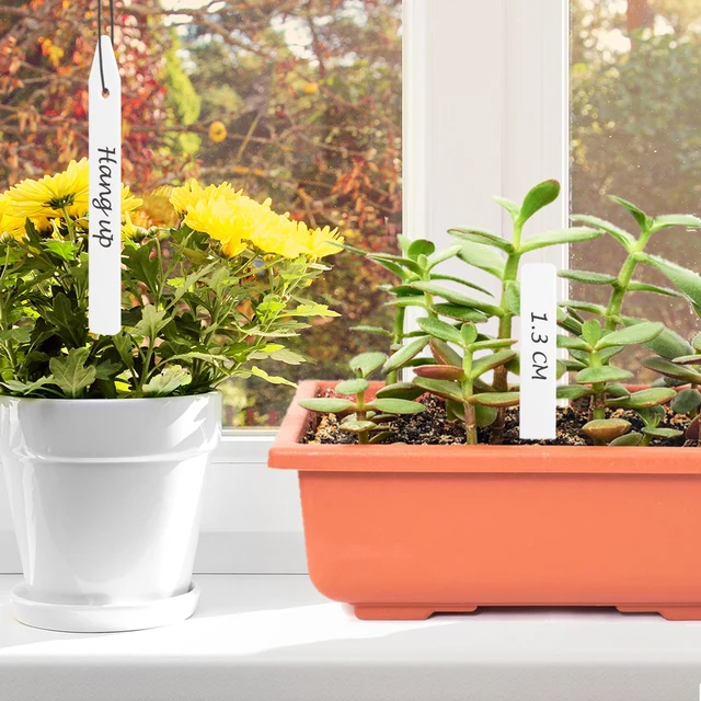 10-500Db 10.3X1,3 Cm Fehér Megvastagodott Növénycímkék Műanyag Kerti Címkék Tétek Óvodai Újrafelhasználható Markerek, Kerek Lyukakkal Lógó - Image 4