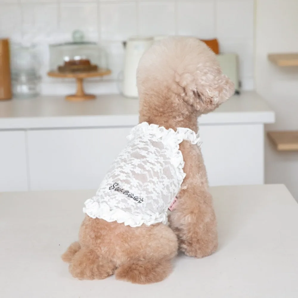 Vest Pet Clothing Cats & Dogs - PeticaDeals