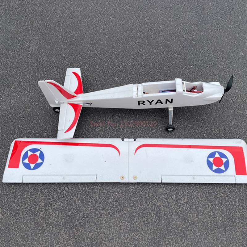 RC 1000mm 날개폭 데빌 X110 6채널 2.4g 전동 EPO 고정익 충격방지 원격조종 모형 항공기 장난감