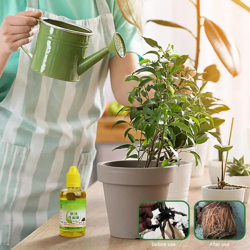 Fast-Rooting-Plant-Nutrient-Solution-Universal-Nutrient-Plant-Stimulator-Garden-Hydroponic-Potted-Flower-For-Succulents-Fruits.jpg Gyors Gyökérzetű Tápanyag -Oldat Univerzális Növény Stimulátor Kerti Hidroponikus Cserepes Virág A Pozsgás Növényekhez - Image 2