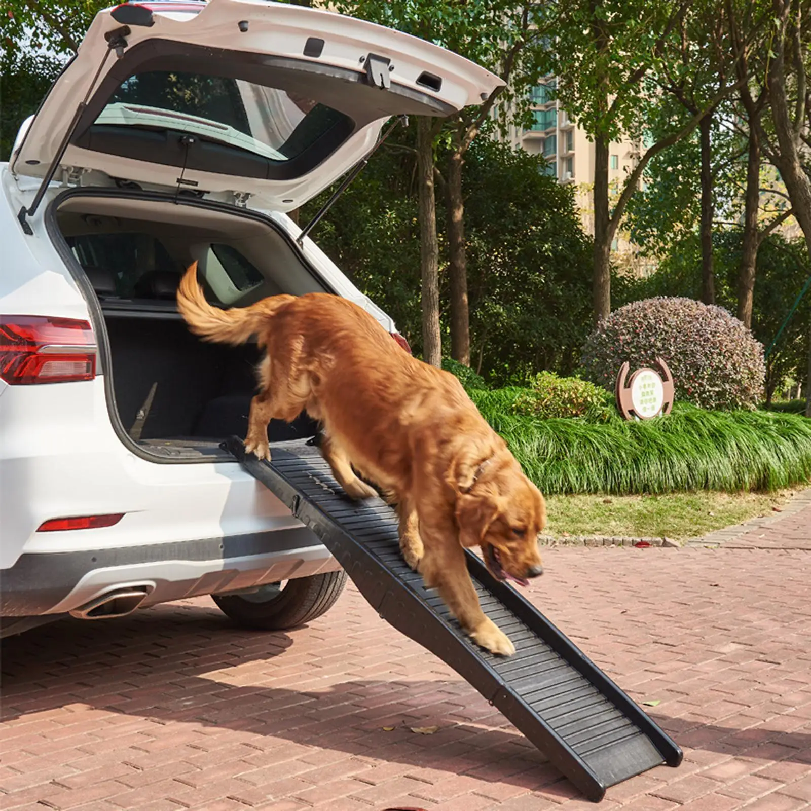 Dog Ramp Pet Ladder Folding Portable Non Slip Lightweight Dog Steps Pet Stairs Car High Beds Travel Couch Indoor Rampe pour chien voiture antidérapante pour coffre SUV et chien âgé