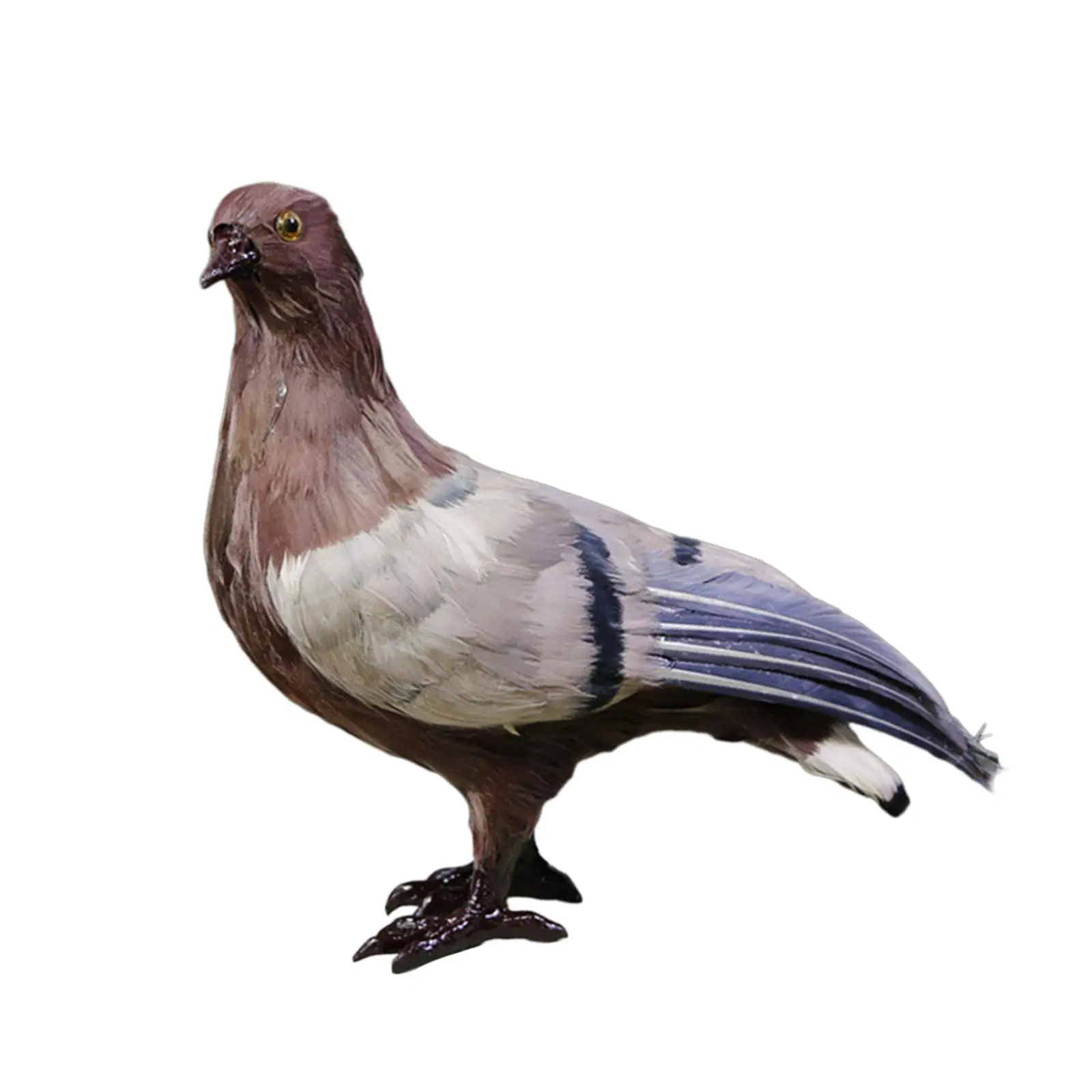 Simulation Pigeon Model Figurine Craft Collectible Decorative Bird Toy Artificial Feather for Party Favors Versatile