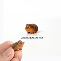 Hedgehog-2