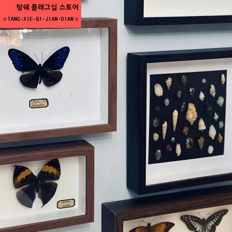 수제 DIY 액자 속이 빈 디자인 스톤 쉘 식물 드라이플라워 보존 전시 아트 프레임 홈 데코 아이템