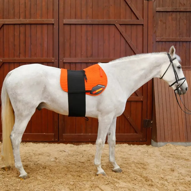 스트레치 벨트, 말용 민감성 붕대, 보호 벨트, 승마용 하네스 장비