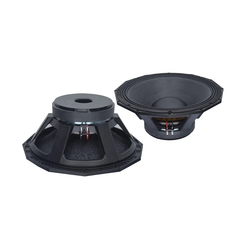 new bass configuration big double 5 inch Voice Coil pa system