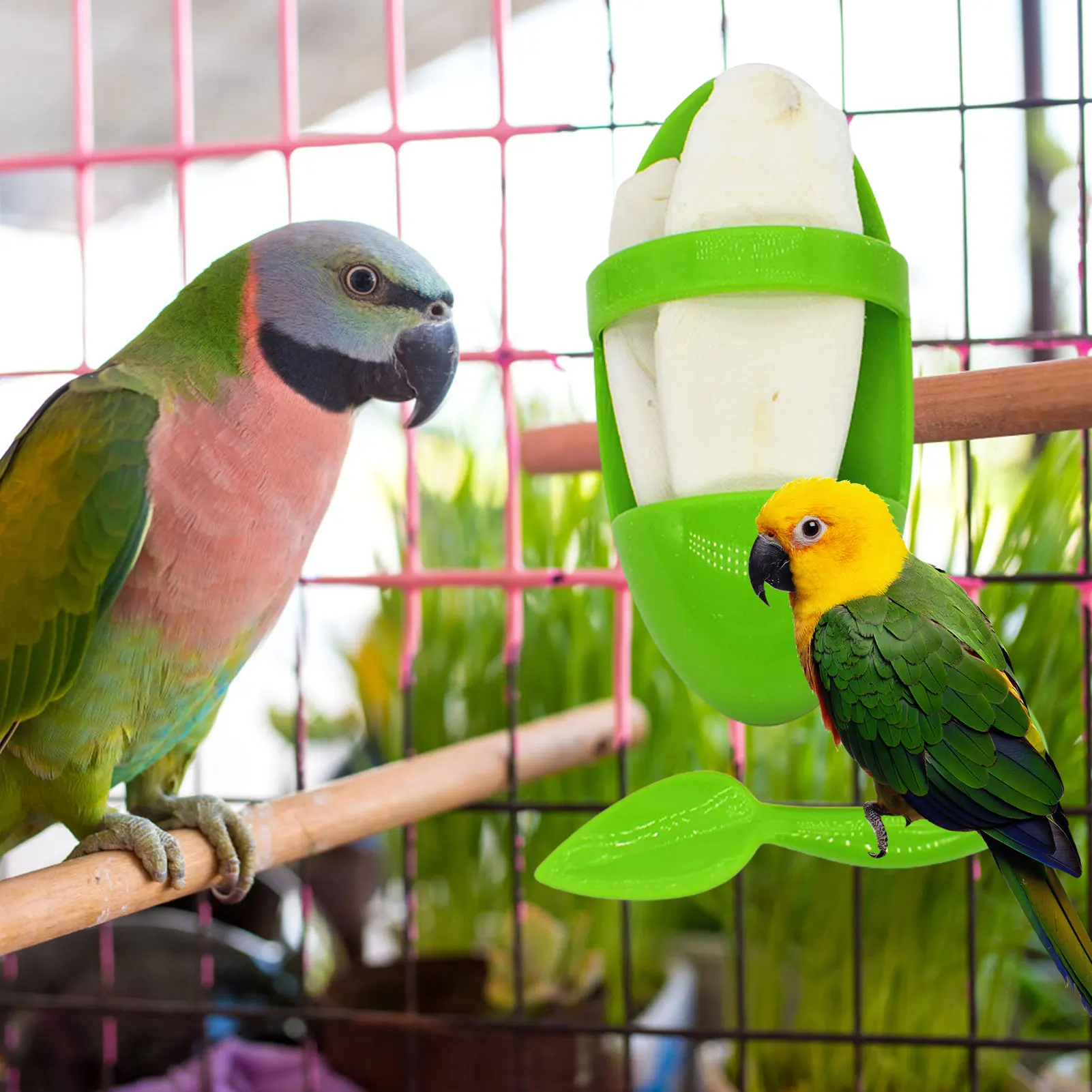 Cuttlebone Holder For Bird Cage Cuttlebone Bird Cage Accessories Feeding Cup Food Storage Cuttlefish Cuddle Bone Holders