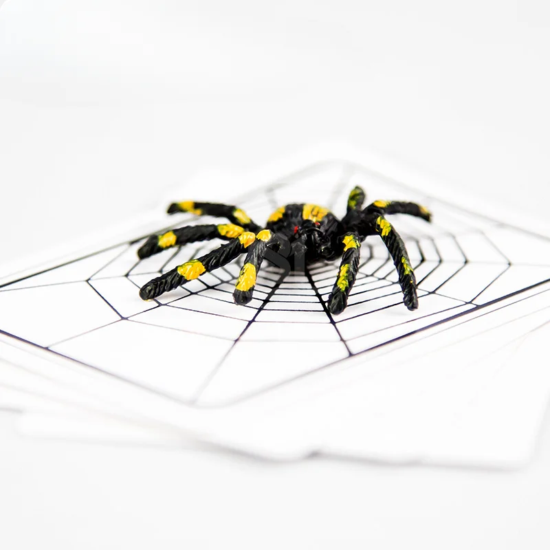 

Spider And Net Magic Trick The Web Cards Toys Magician Gimmick Illusion Closed-Up Props