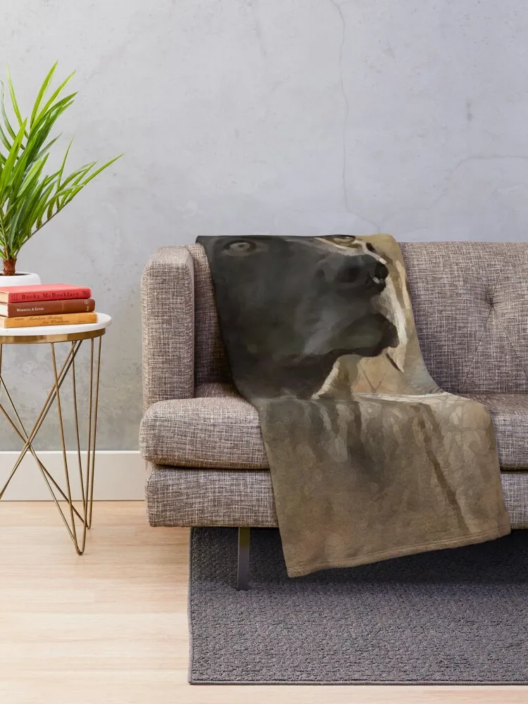 Deutsch Kurzhaar ������ ���, ǫ���� ���� ũ�������� ��� ��� �� ������, ����� �� �ʼ�ǰ ���