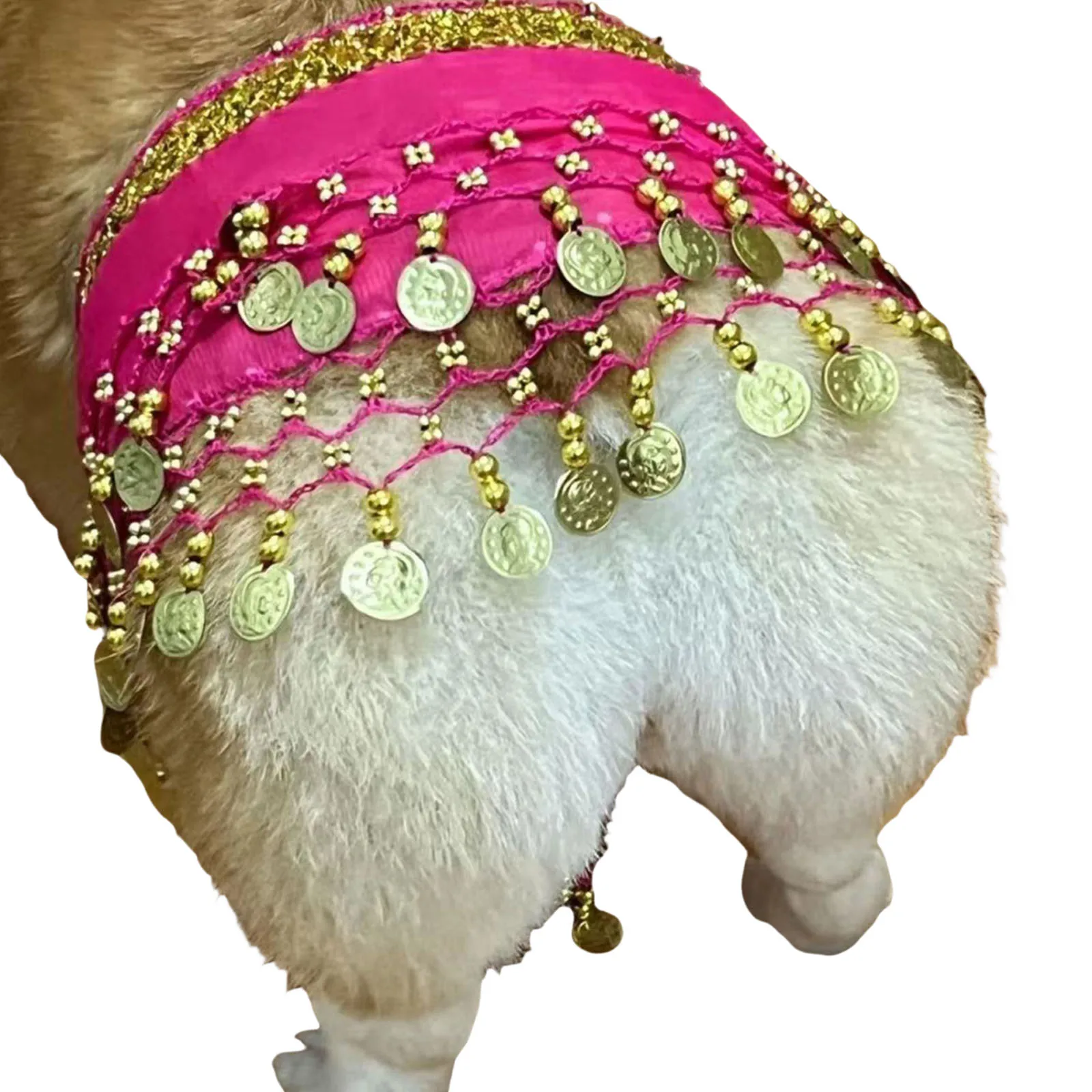 강아지 벨리댄서 스커트 블링 벨리댄스 힙 스카프 장 댄스 힙 타월 할로윈 파티..