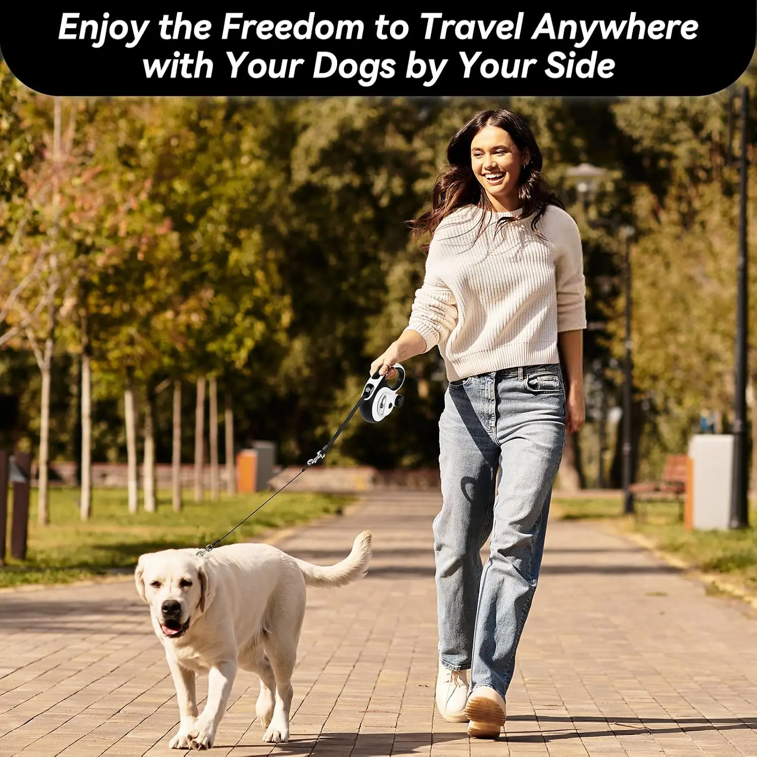 Heavy-Duty Retractable Dog Leash 5