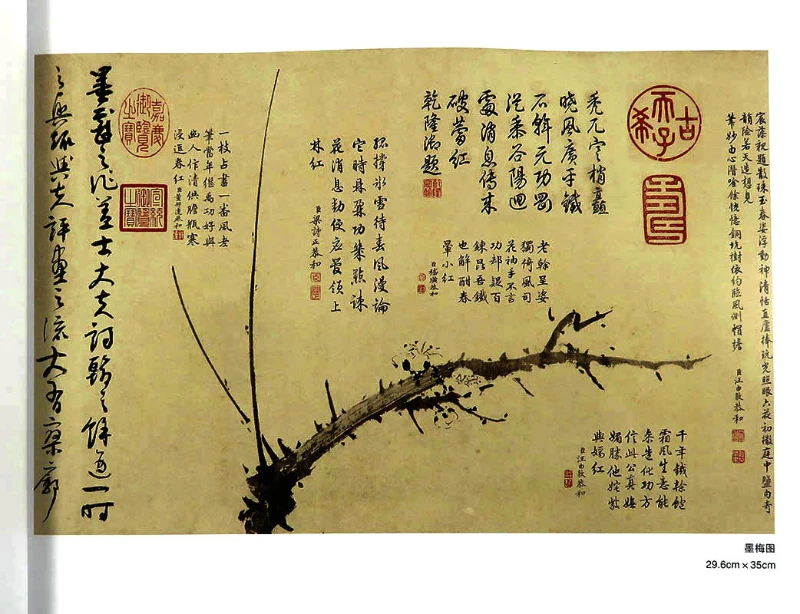 Qi Baishi Freihand Malbuch Meister Chinesische Maltechnik erklären Wu Zhen Bambus Tinte Maltechnik Tutorial Buch – Detail 6