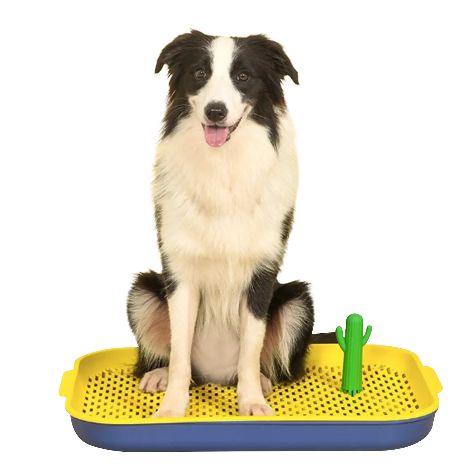 Indoor Dog Potty Tray Replacement Puppy Training Pads With Cactus Perfect For Keep Floors And Home Clean |