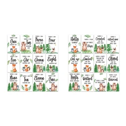 아기 월별 이정표 사진 카드, 양면 신생아 이정표 종이 카드, 임신 카드, 부모용 완벽한 유품, Y55B