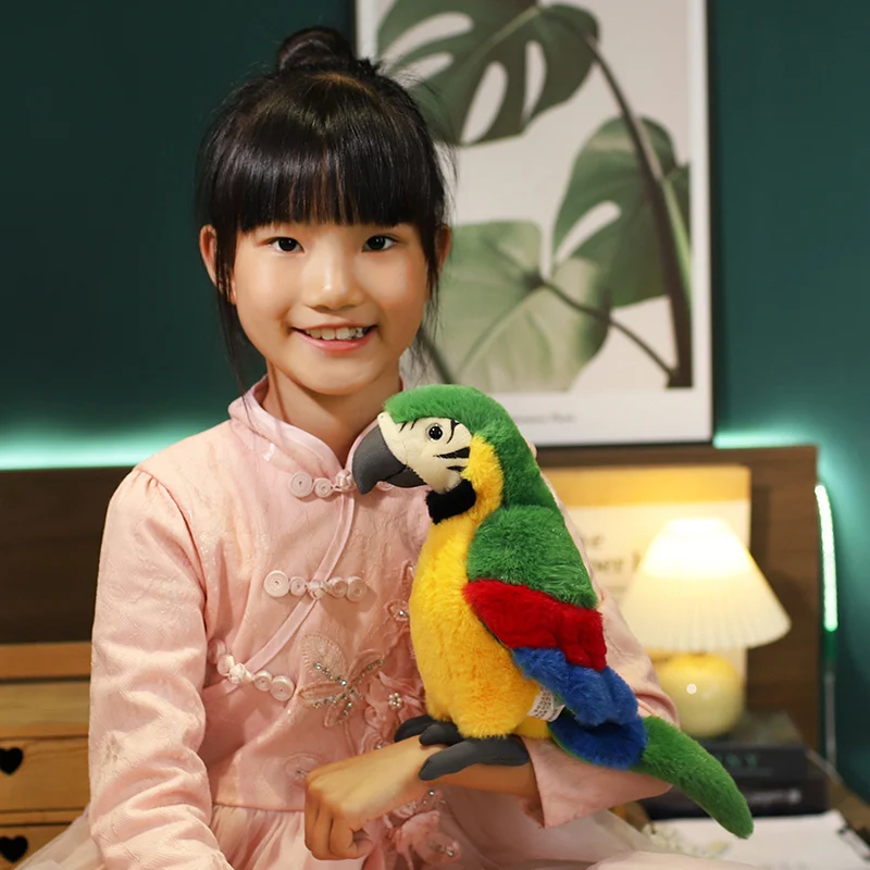 カラフルオウムのぬいぐるみ 約20cm カラフルオウムのぬいぐるみ 約20cm - メルカリ