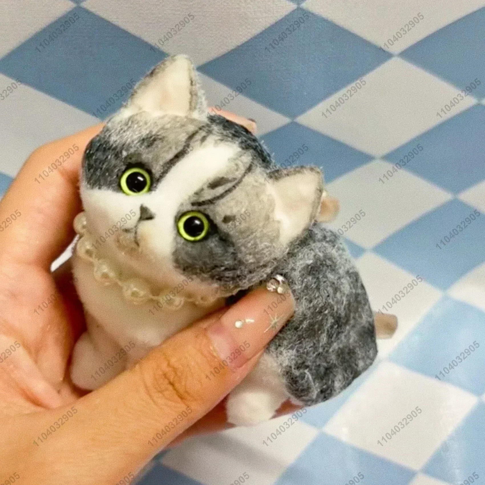 American Shorthair