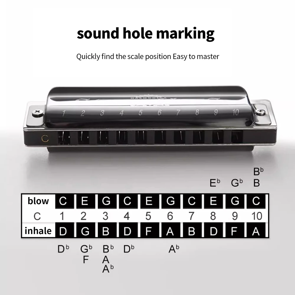 SWAN Blues Harmonica 10 holes 20 notes C key polyphonic model Suitable for beginners Musical instrument classes Hobby