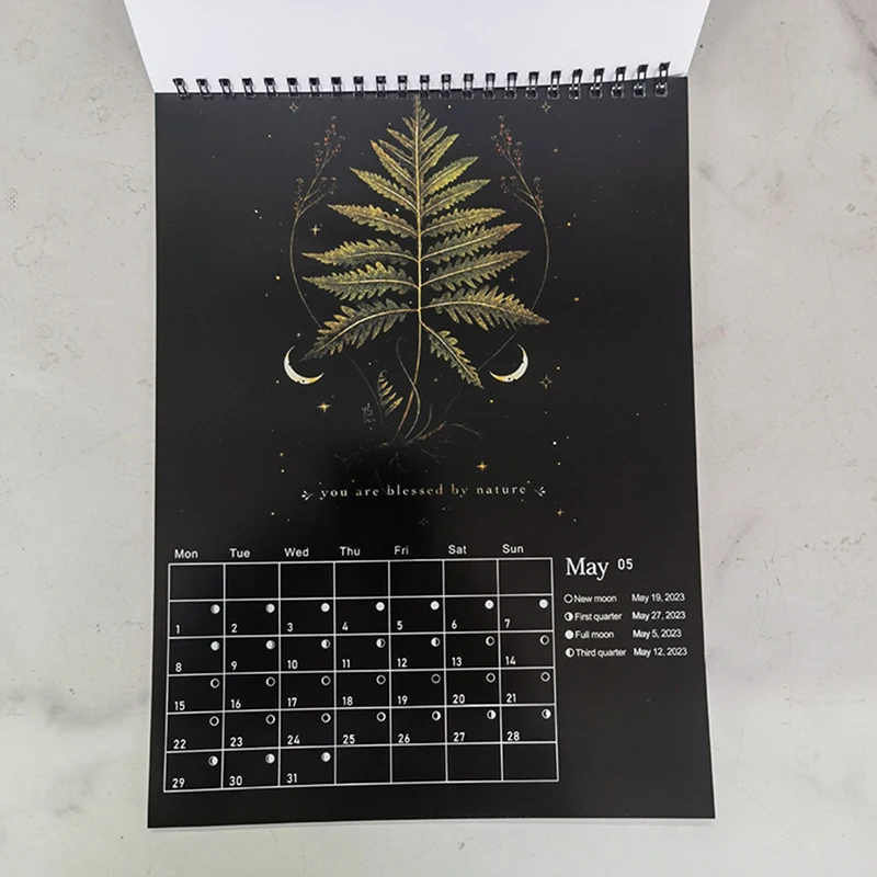 12 X 8 palec temný les měsíční kalendář 2024 obsahuje 12 originální ilustrace tažené celém  rok, 12 měsíčně pestrý