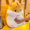Cute Hamster Plush Toy Sleeping Big Pillow, Cute Pet Little Hamster Doll For Girls And Children Gift Toys 1