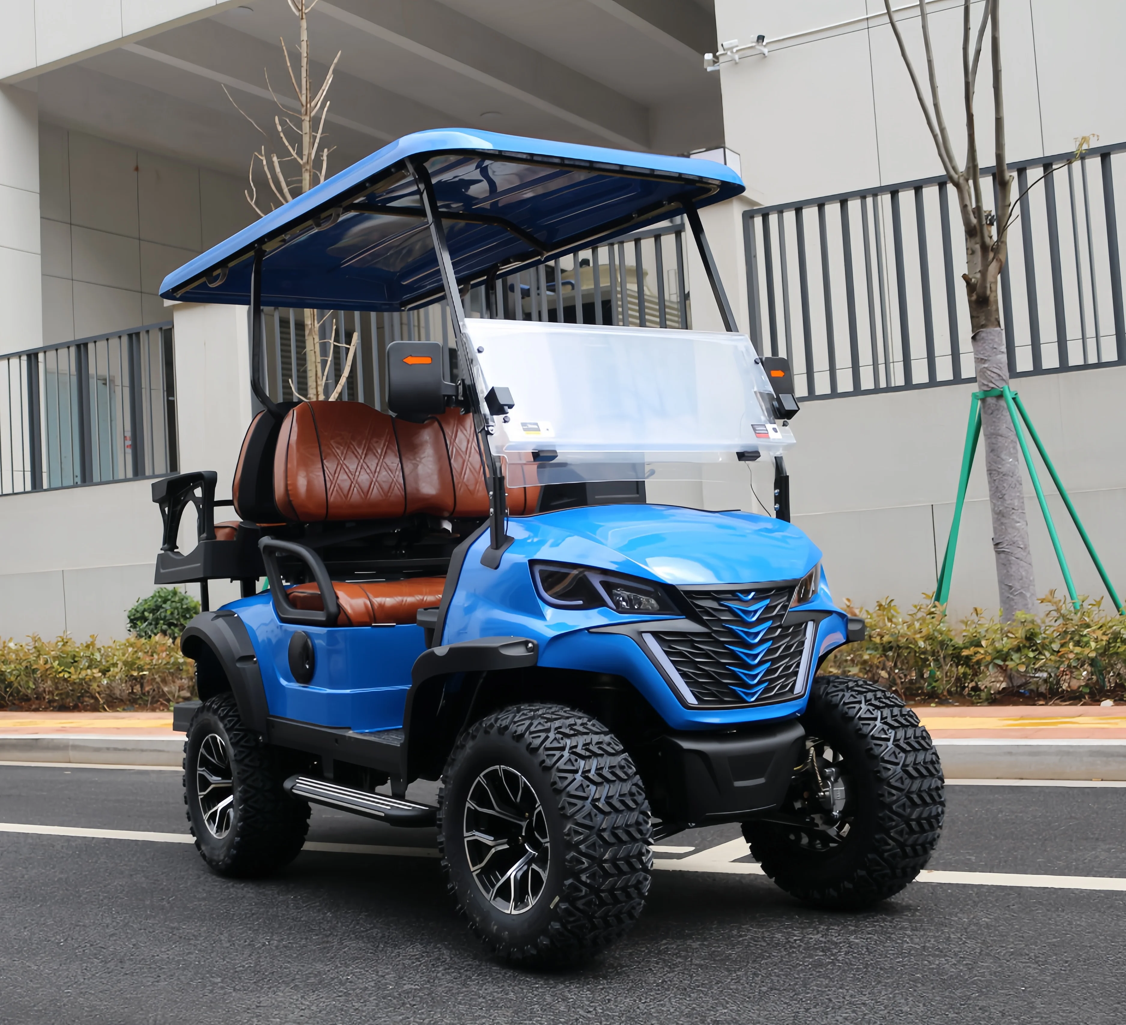 48V Electric Golf Cart with DOT Certificate 4 Seat Adult Cart for RXV High Passenger Capacity of 8 Seats