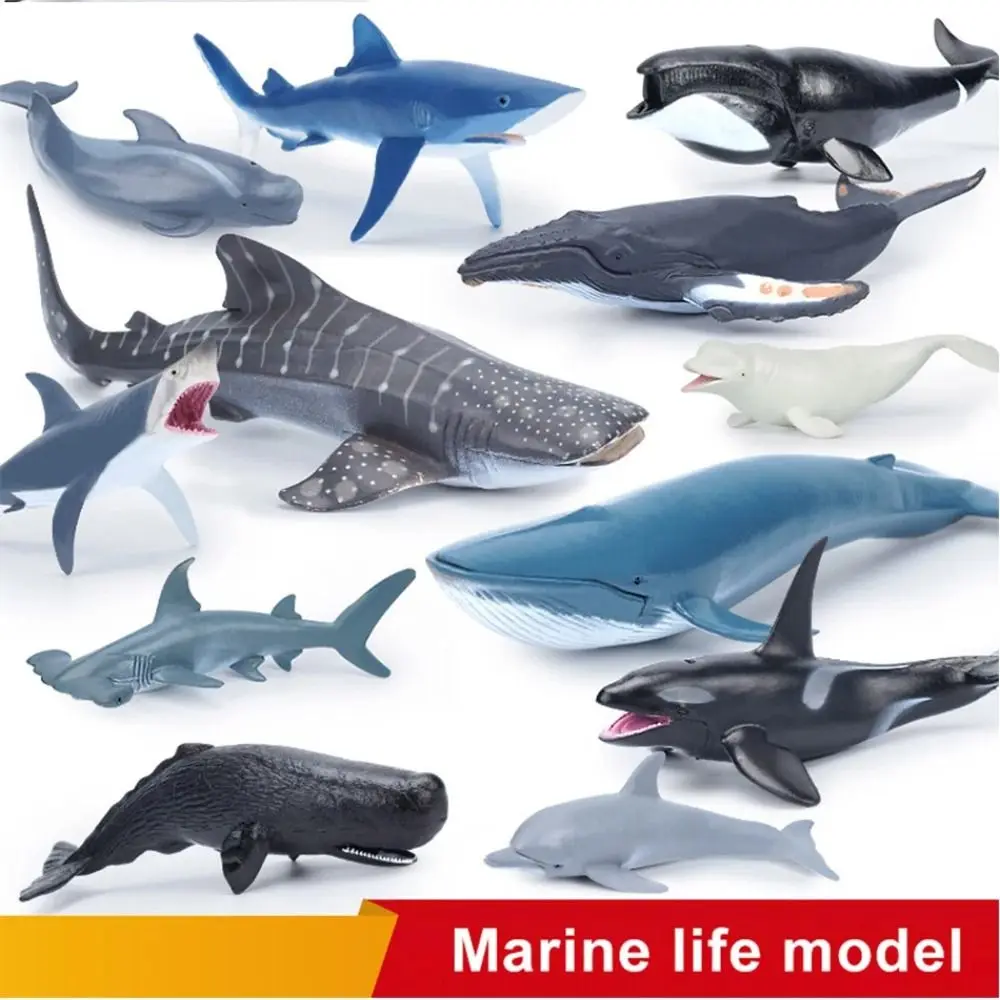 Marine Animal Educational Figurines - Ocean Simulation Set