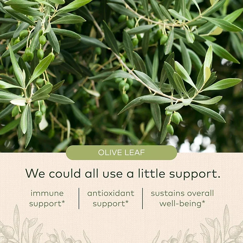 Olive Leaf Capsules-Antioxidant, Immune Support, Promotes Skin, Cardiovascular Health