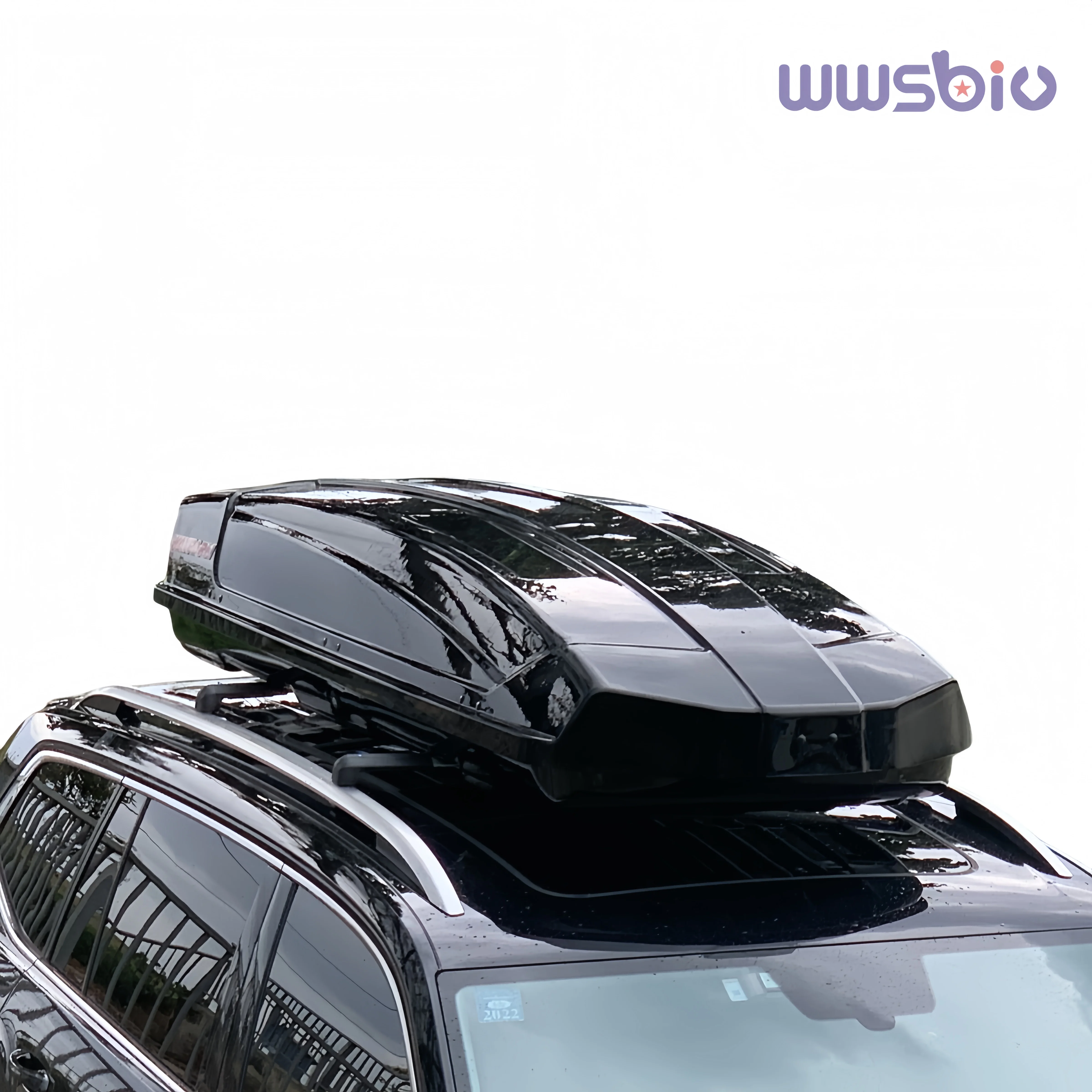roof rack luggage carrier