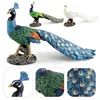 Children Toys Simulation Peacock Animal Model Baby Early Animal Cognition Montessori Education Puzzle Toy Static Household Decor 3