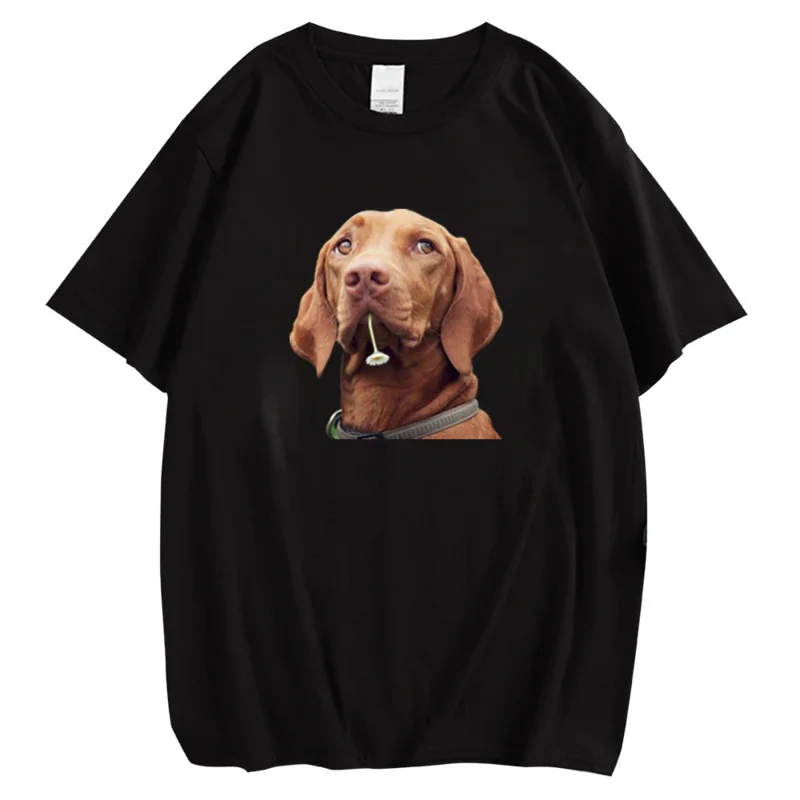

CLOOCL Weimaraner T-shirts Funny Animal Dog Sticker Printed T-shirt 100% Cotton Tees Adult Kids Summer Short Sleeve Tops