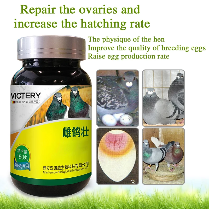 

Pigeon Strong Health Care Products Improve The Physique and Egg Production Rate of Hens and Improve The Quality of Breeding Eggs